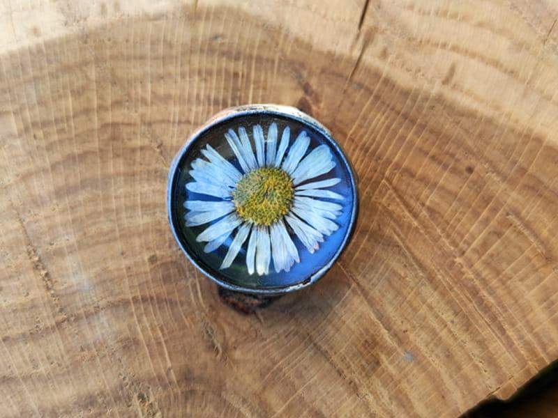 Broszka ze stokrotką (oprawa w kolorze ciemnego srebra)