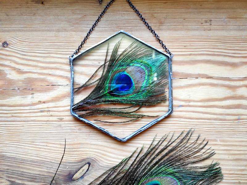 Obraz z pawim piórem