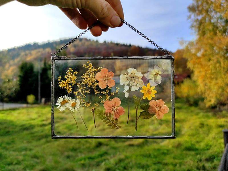 Obraz z suszonymi roślinami:  delikatna łąka