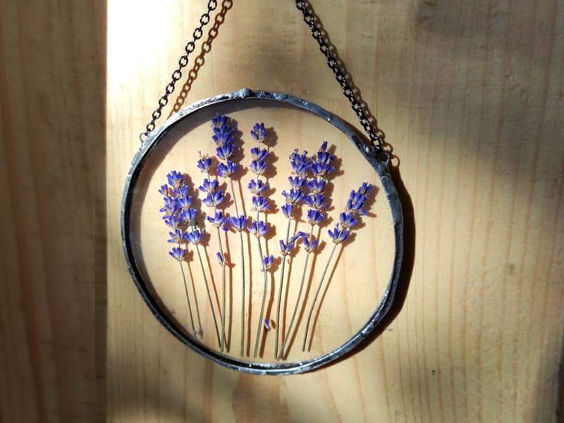 Obraz z suszonymi roślinami:  lawenda w kole