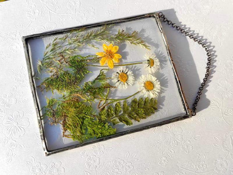 Obraz z suszonymi roślinami:  ze stokrotkami, mchem i paprocią